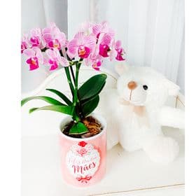 thumb-mini-orquidea-na-caneca-com-pelucia-0