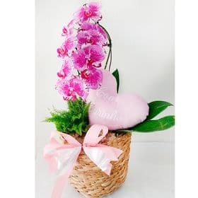 thumb-orquidea-cascata-com-mini-vaso-de-samambaia-com-pelucia-no-caxepo-de-taboa-0